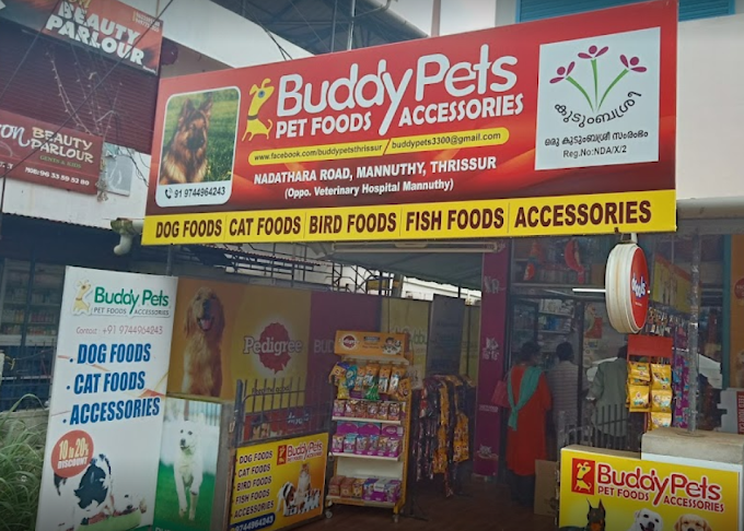 BUDDY PETS