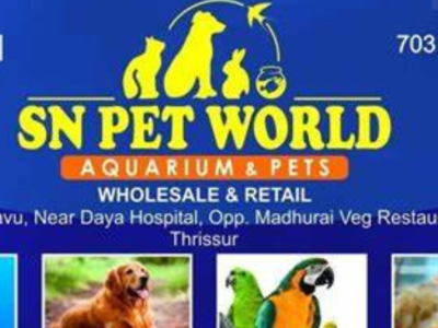 SN PET WORLD