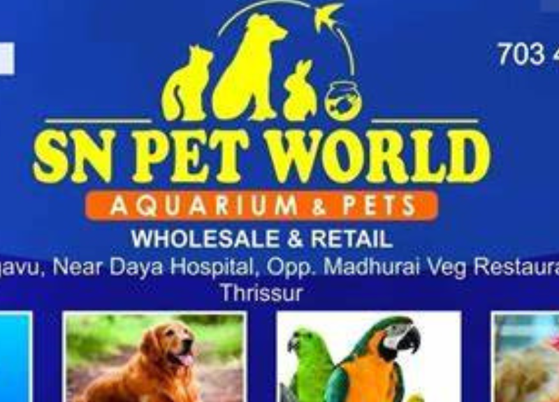 SN PET WORLD